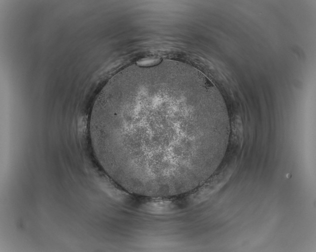 X0000110880278200906181231