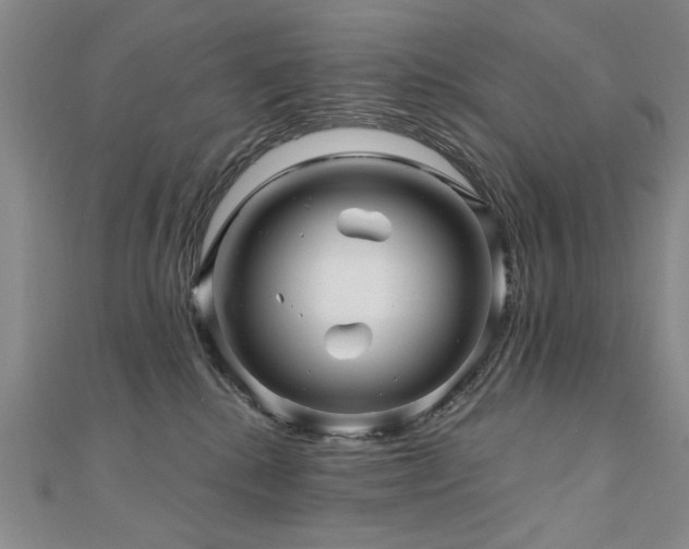 X0000110880280200906181232