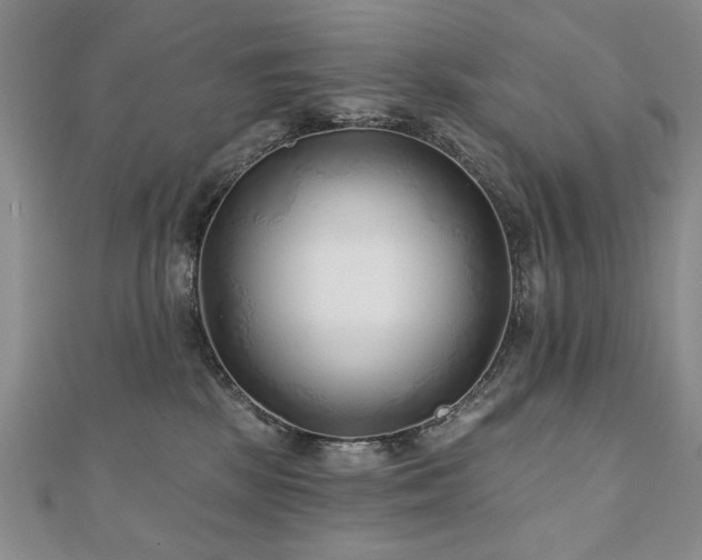 X0000110880281200906181232