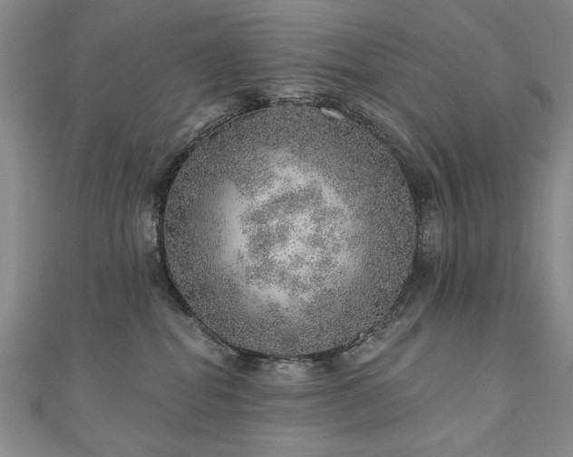 X0000110880282200906181232