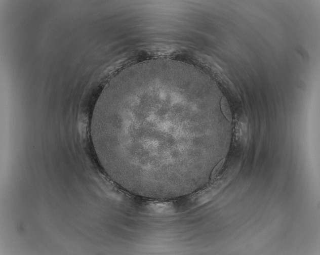 X0000110880283200906181232