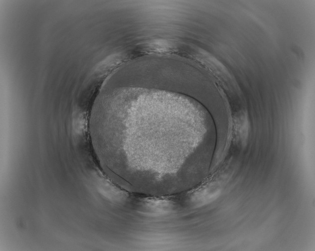 X0000110880284200906181232