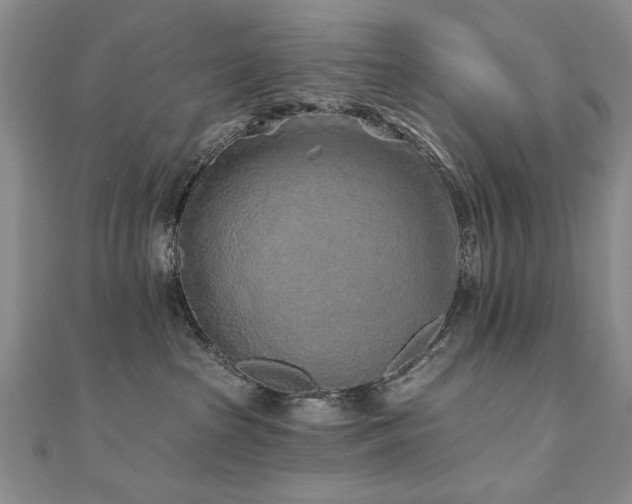 X0000110880285200906181232