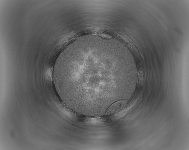 X0000110880286200906181232