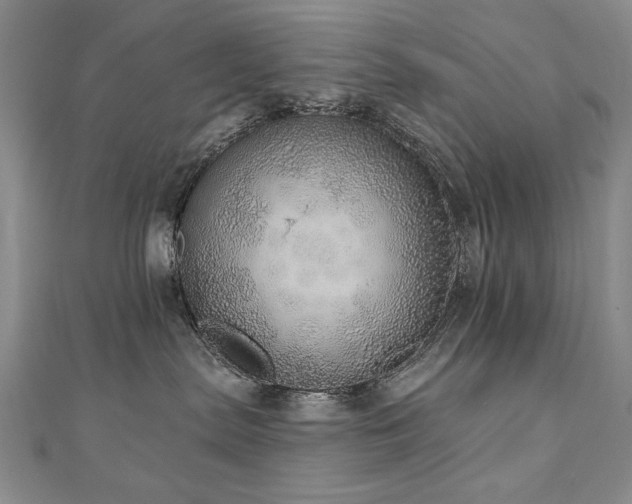X0000110880287200906181232
