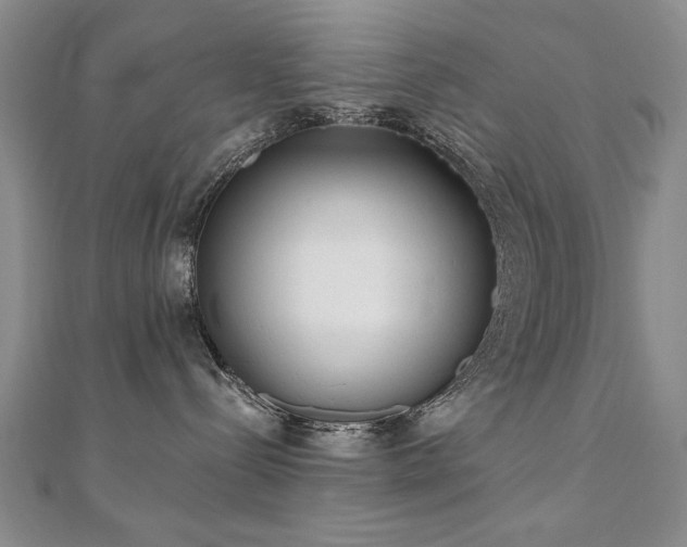 X0000110880288200906181232