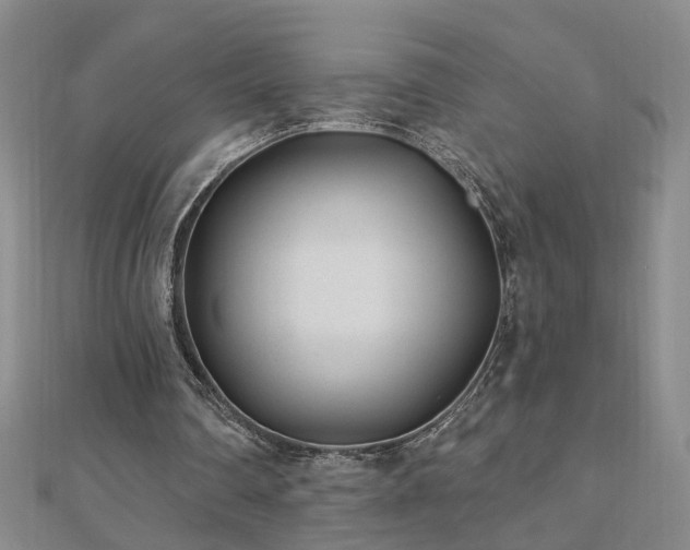 X0000110880290200906181231