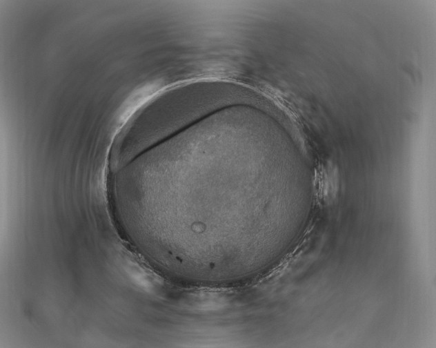 X0000110880292200906181231