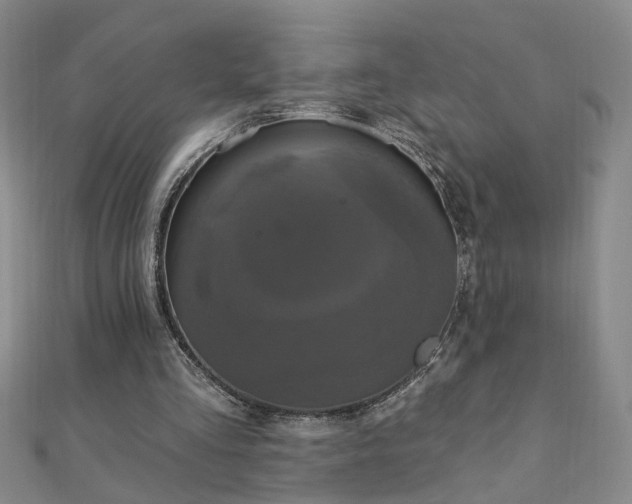 X0000110880293200906181231