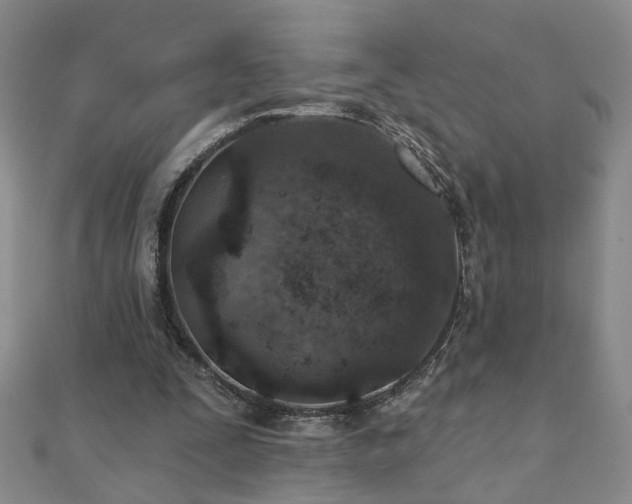X0000110880295200906181231