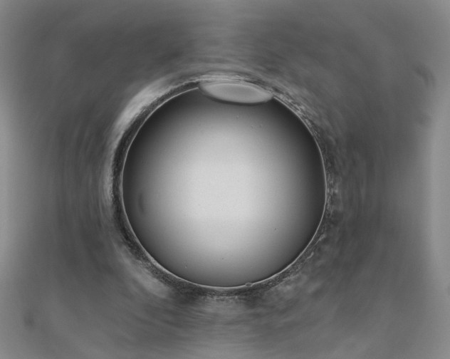 X0000110880296200906181231