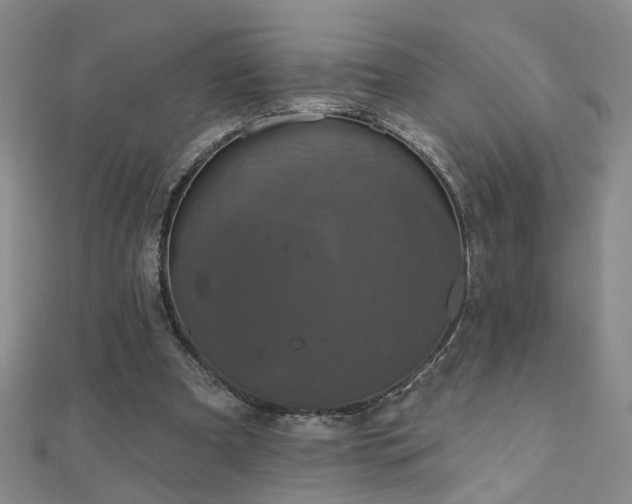 X0000110880297200906181231