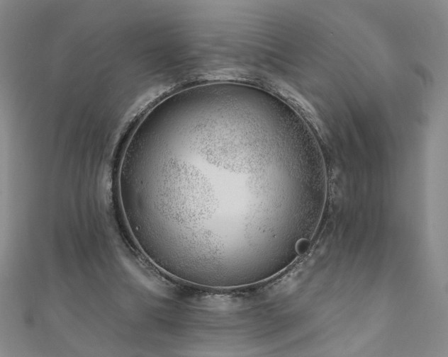 X0000110880298200906181231