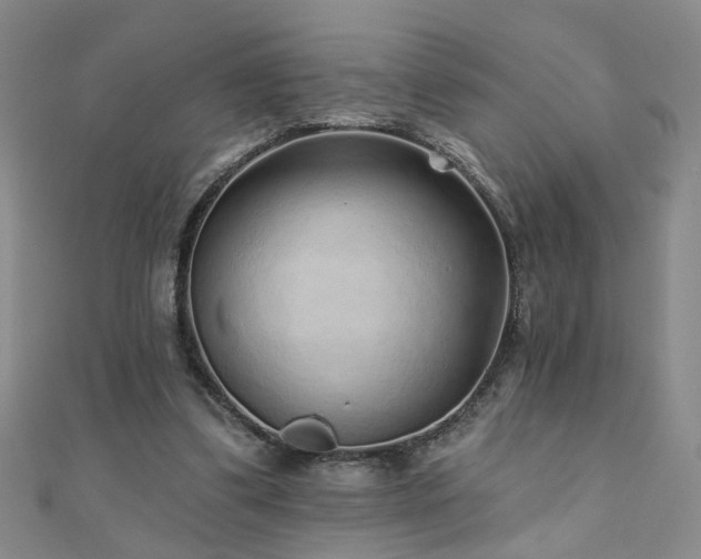 X0000110880299200906181231