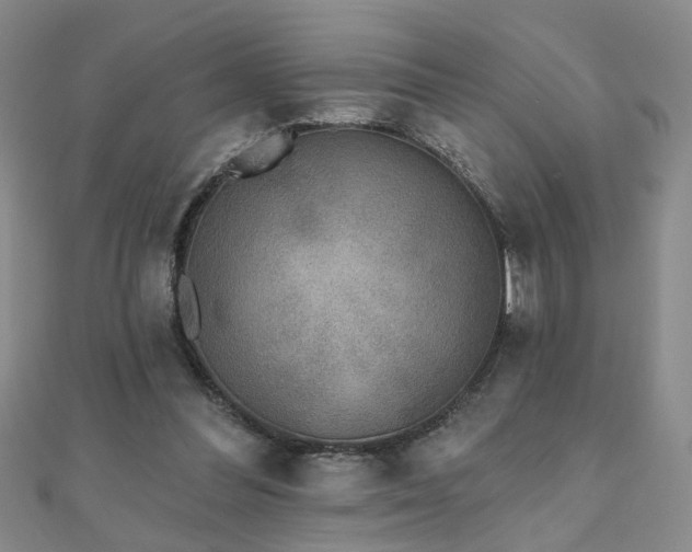 X0000110880300200906181231