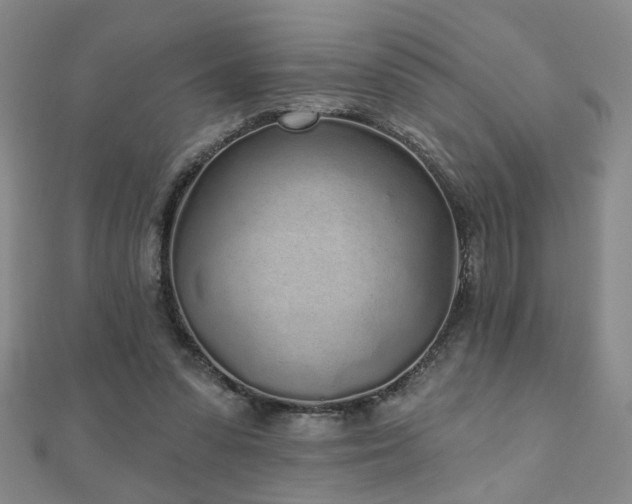 X0000110880303200906181231