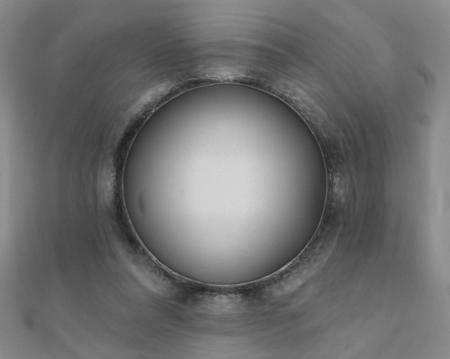 X0000110880304200906181231