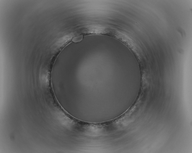 X0000110880305200906181231