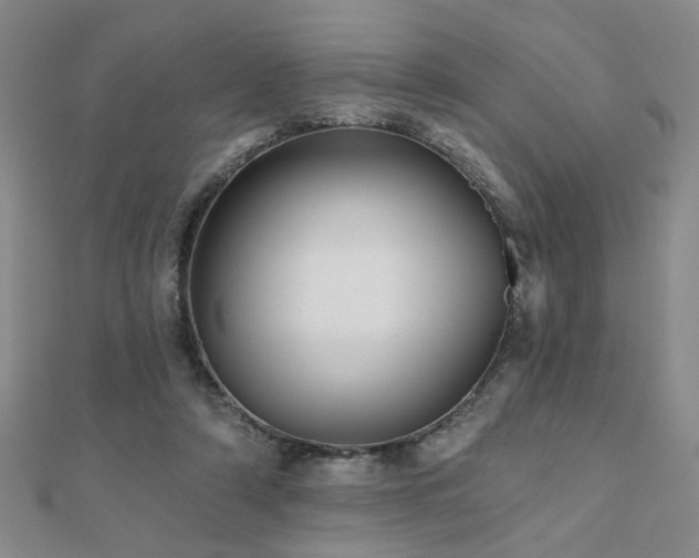 X0000110880306200906181231