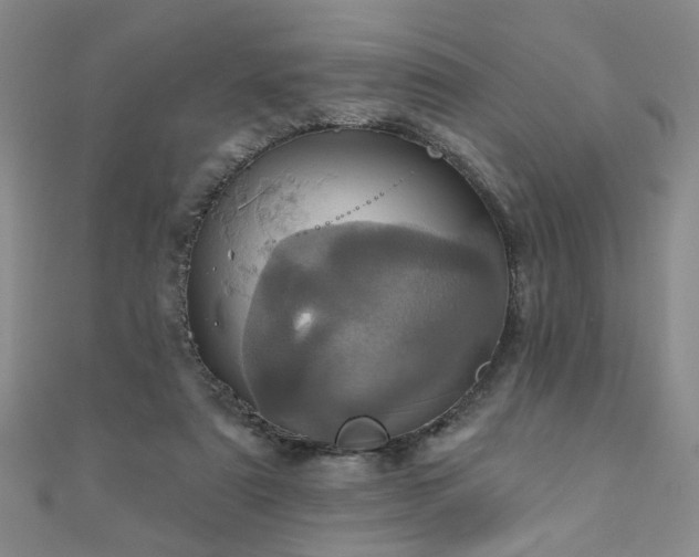 X0000110880307200906181231