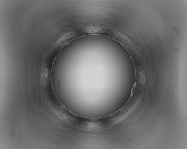 X0000110880308200906181231
