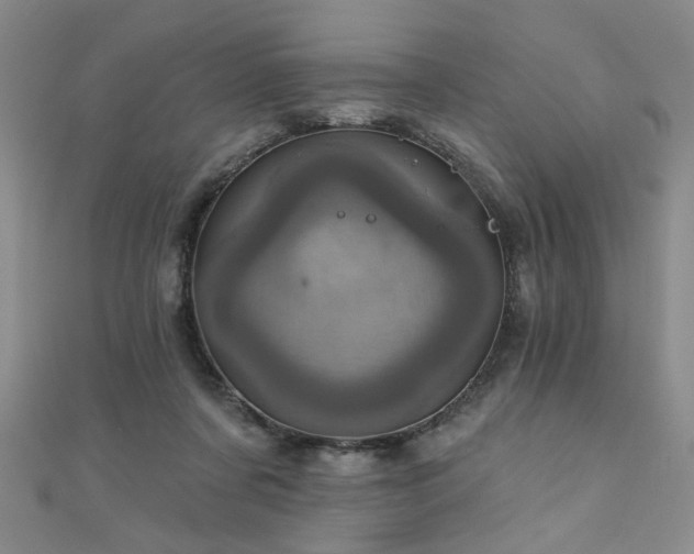 X0000110880311200906181231