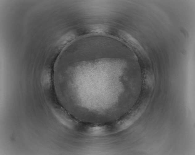 X0000110880312200906181231