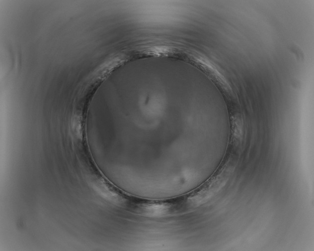 X0000110880313200906181231