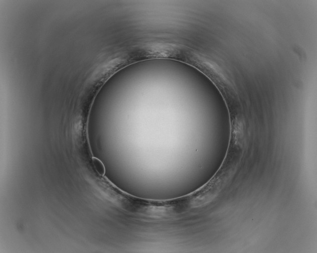 X0000110880314200906181231