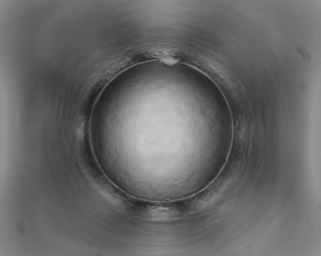 X0000110880315200906181231