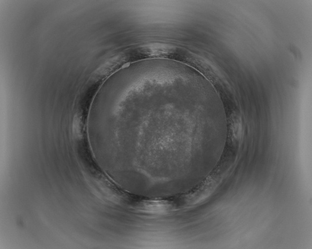 X0000110880316200906181231