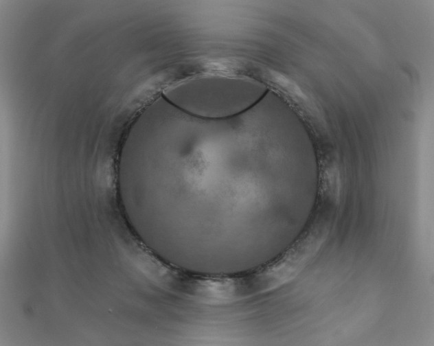 X0000110880317200906181231