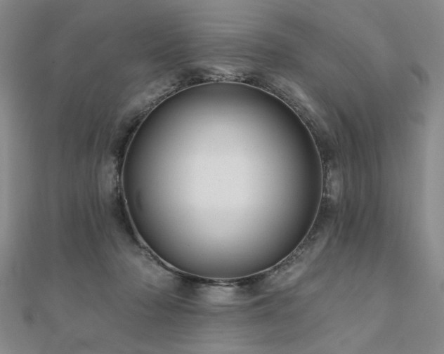 X0000110880318200906181231