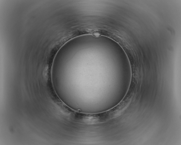 X0000110880319200906181231