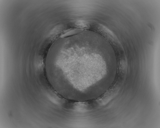 X0000110880320200906181231