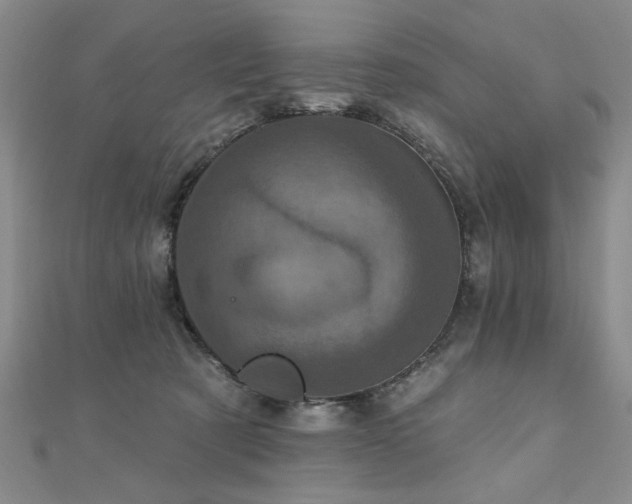 X0000110880321200906181231