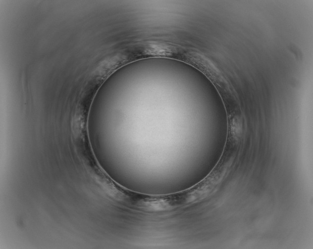 X0000110880322200906181231