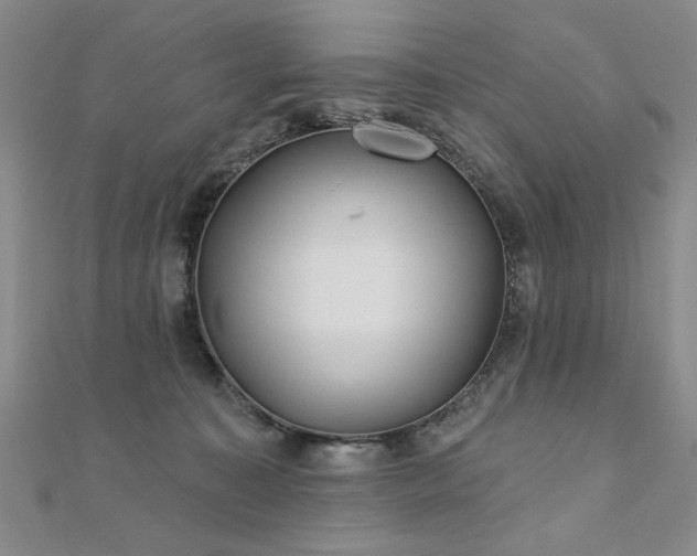 X0000110880323200906181231