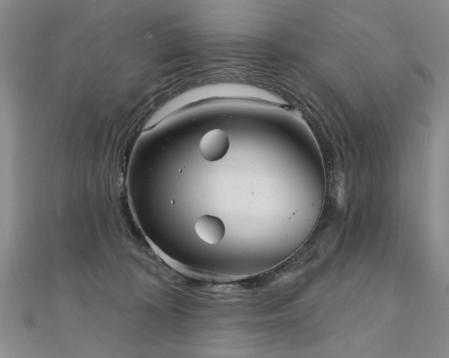 X0000110880324200906181231