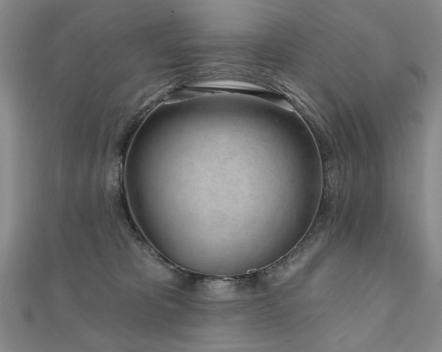 X0000110880325200906181231