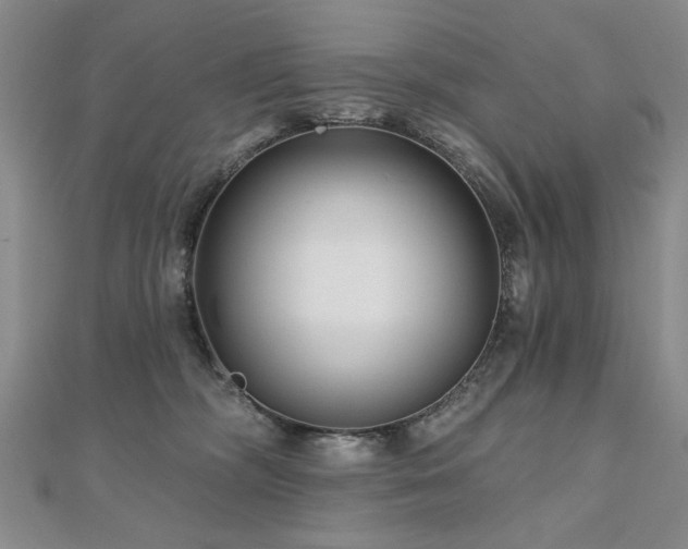 X0000110880326200906181231