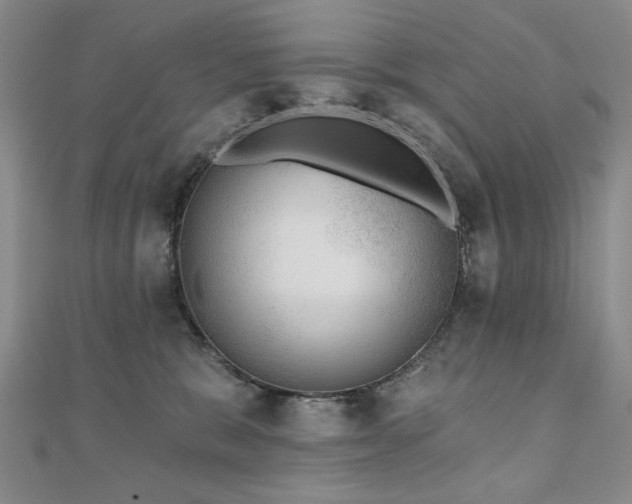 X0000110880327200906181231