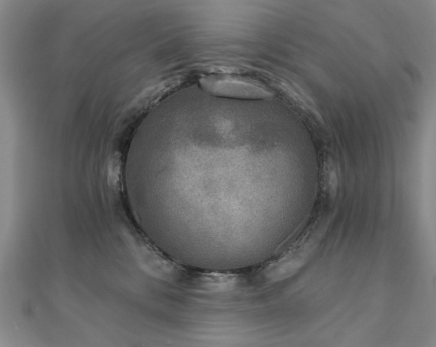 X0000110880328200906181230