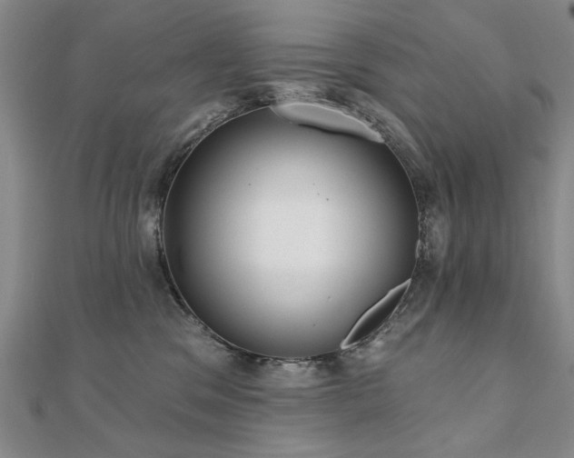 X0000110880329200906181230