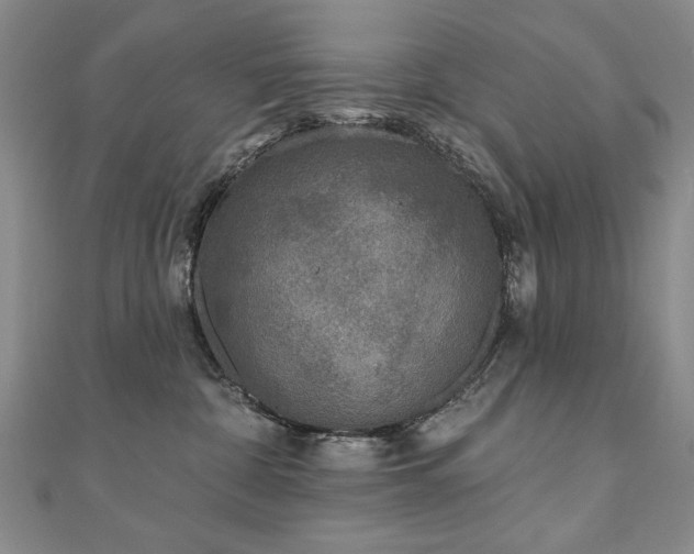 X0000110880332200906181230