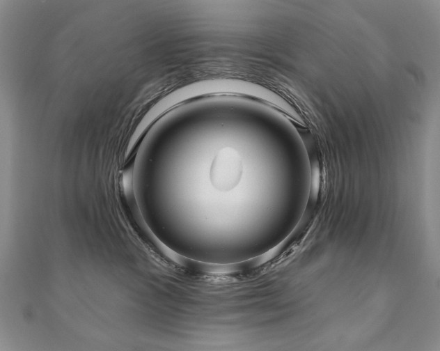 X0000110880333200906181230