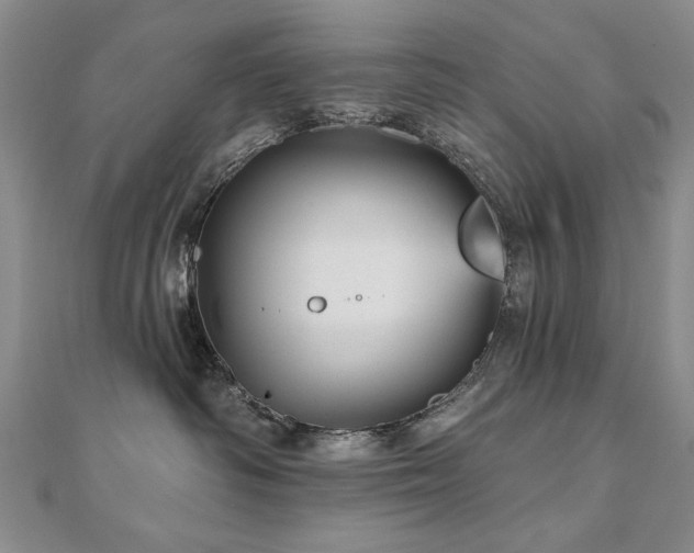 X0000110880334200906181230