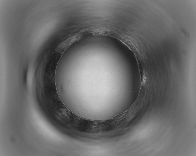 X0000110880335200906181230