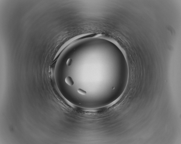 X0000110880336200906181230