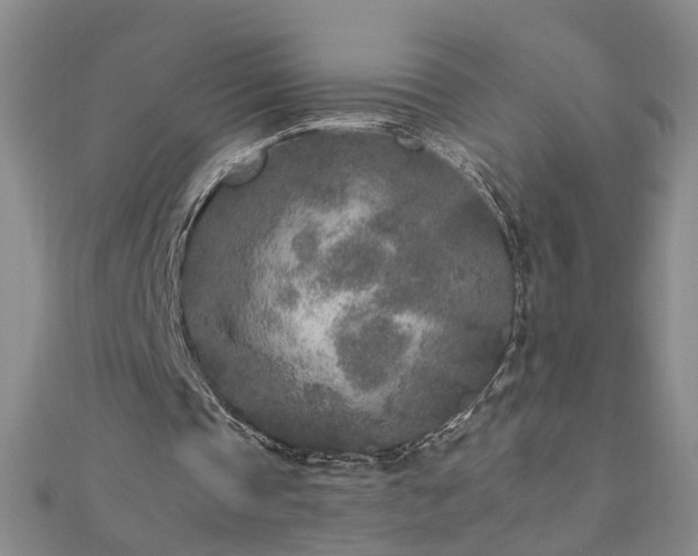 X0000110880337200906181230